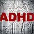 Fueling Focus: Integrative Nutrition Strategies for ADHD and Executive Function Support
