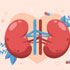 Lifestyle for Chronic Kidney Disease Patients on GLP-1 and/or SGLT-2 Therapy