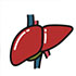 Nutrition and Liver Disease: A Primer for Dietitians