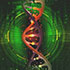 Nutrigenomics: How To Biohack Your DNA