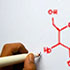 Nutritional Biochemistry Review: Digestion and Absorption