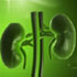 Renal Disease: A Deep Dive for the Registered Dietitian